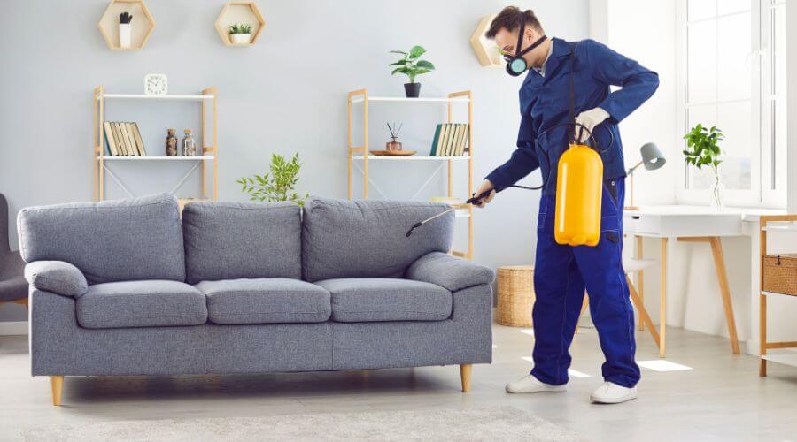 Professional Residential Pest Control services in Tampa